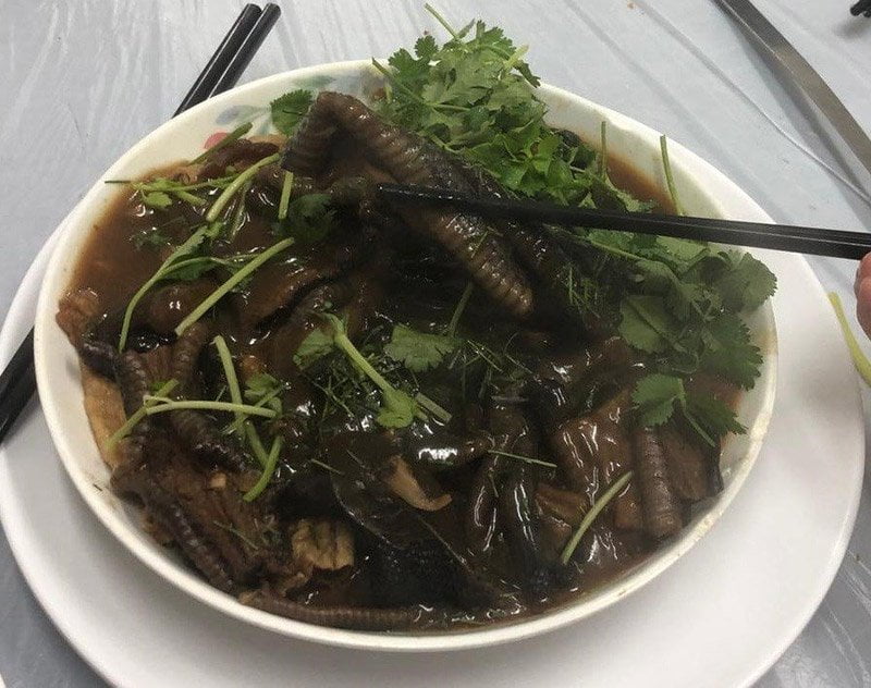 生扣蛇腩
