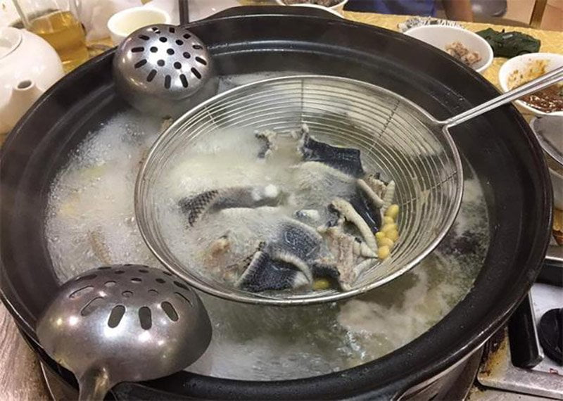 榕蛇火鍋